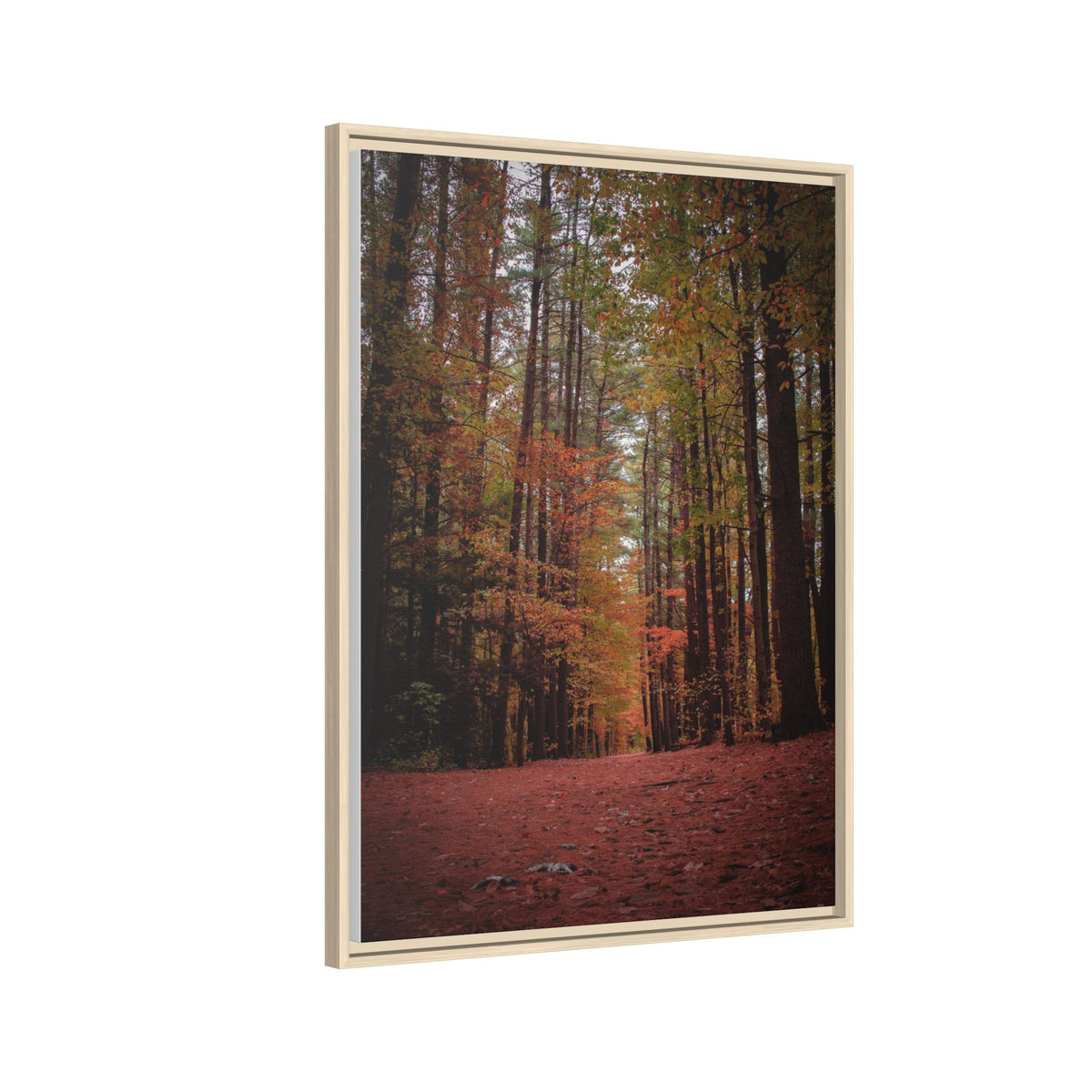 Autumn Forest Wall Art