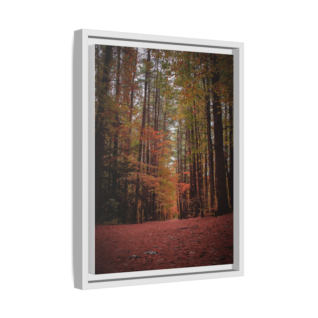 Autumn Forest Wall Art