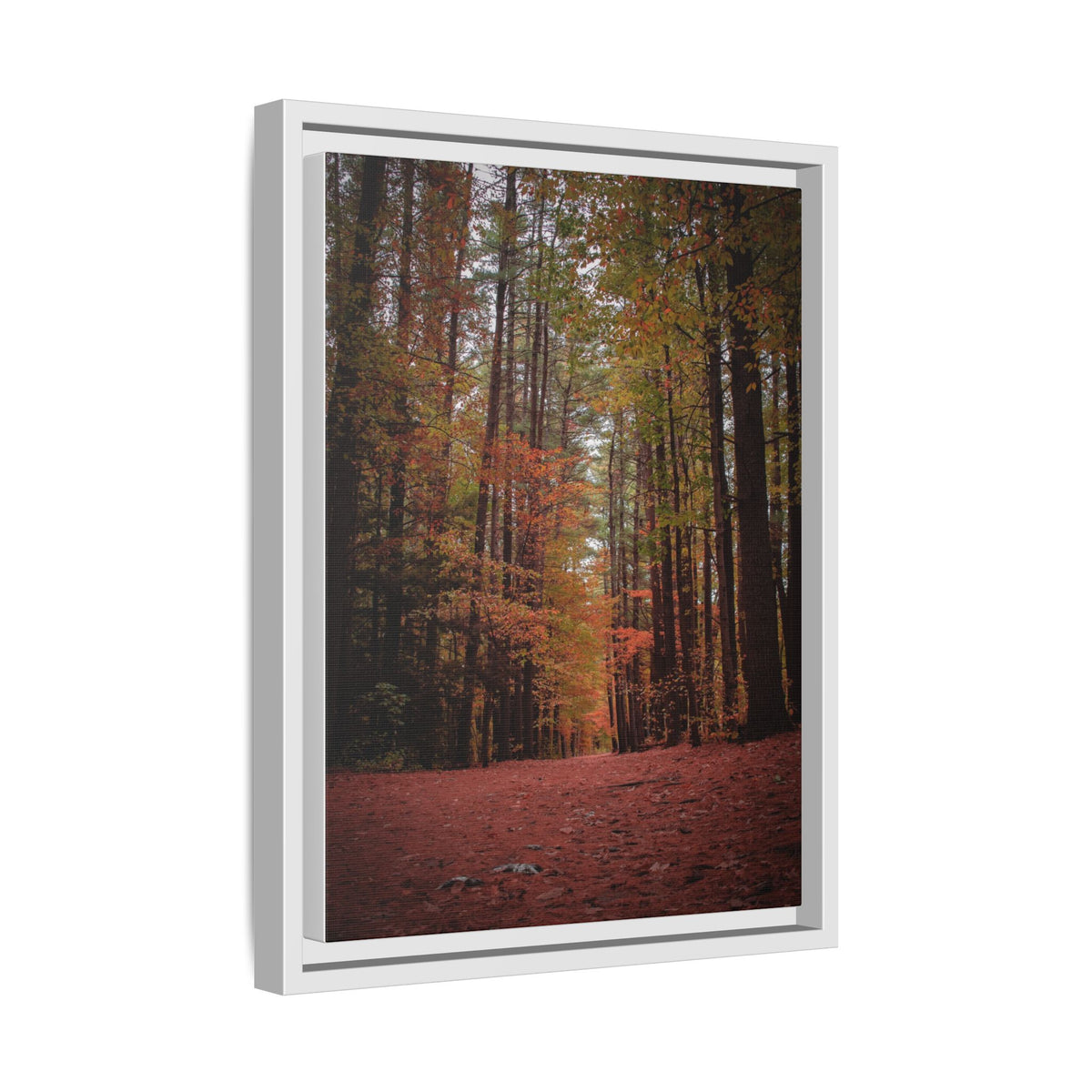 Autumn Forest Wall Art