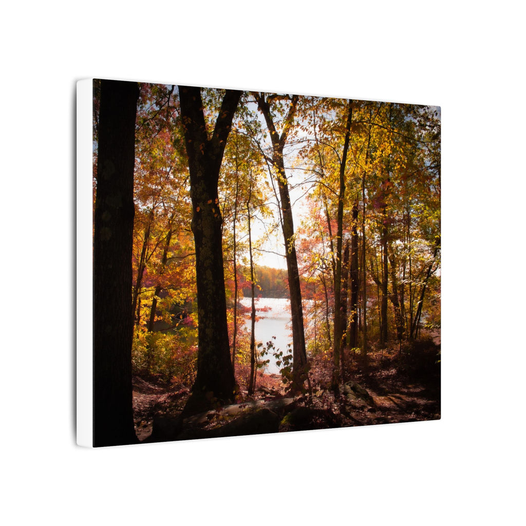 Autumn Lakeview Wall Art