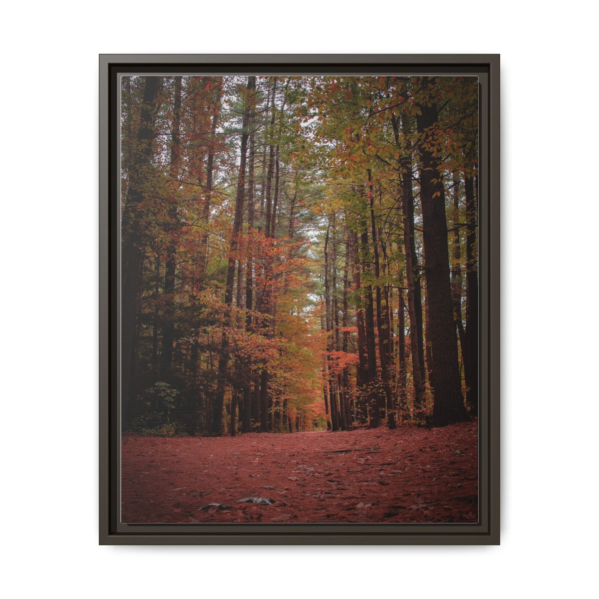 Autumn Forest Wall Art