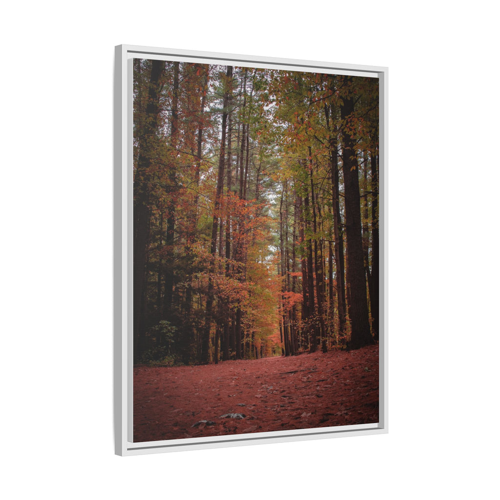 Autumn Forest Wall Art