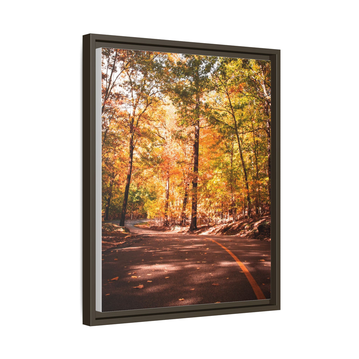Autumn Road- Canvas Print