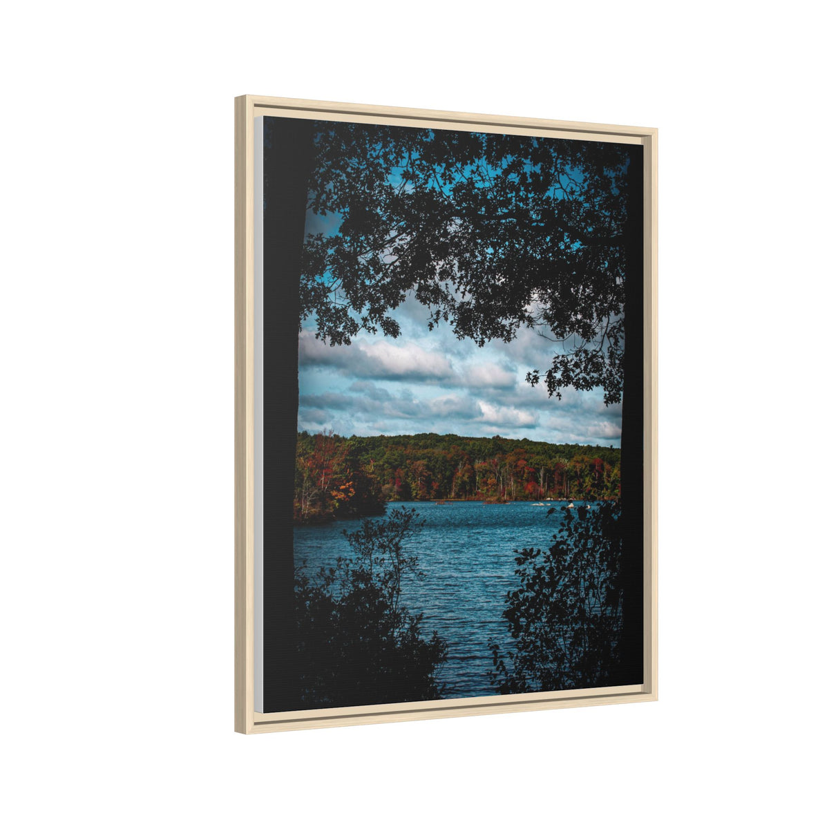 Tree Covered Peace - Canvas Print