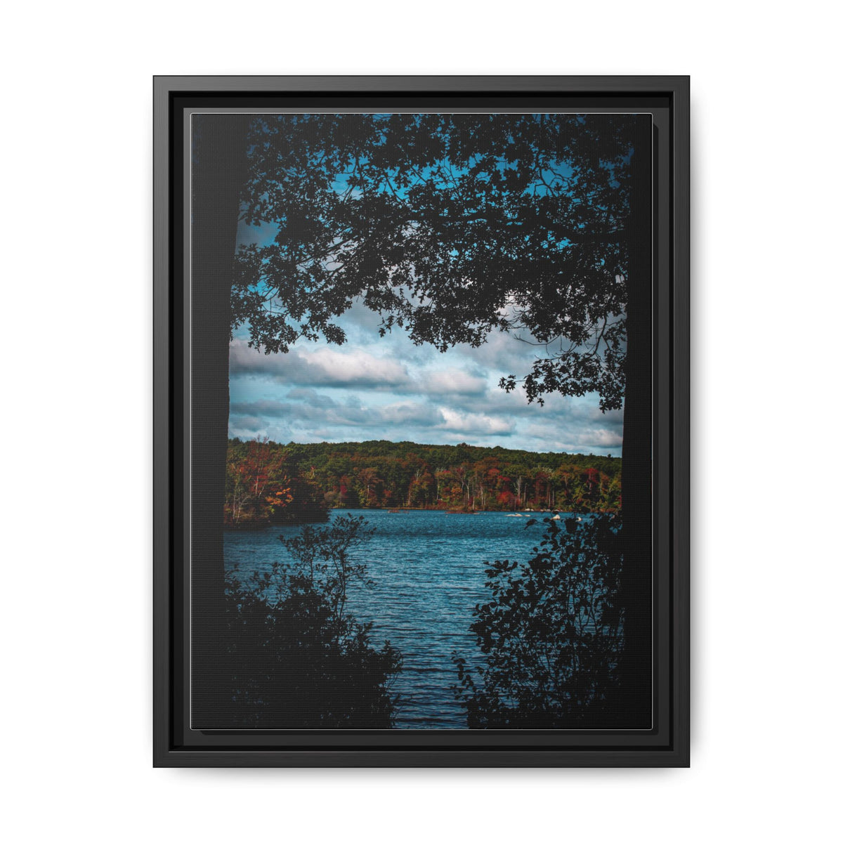 Tree Covered Peace - Canvas Print