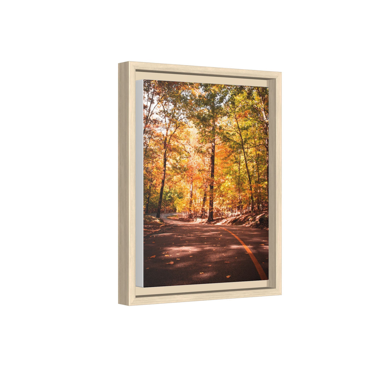 Autumn Road- Canvas Print