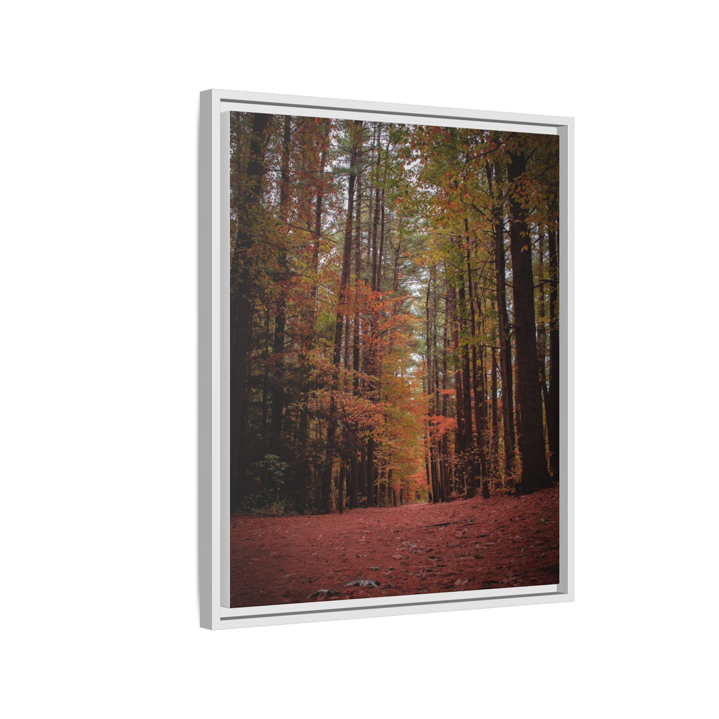 Autumn Forest Wall Art