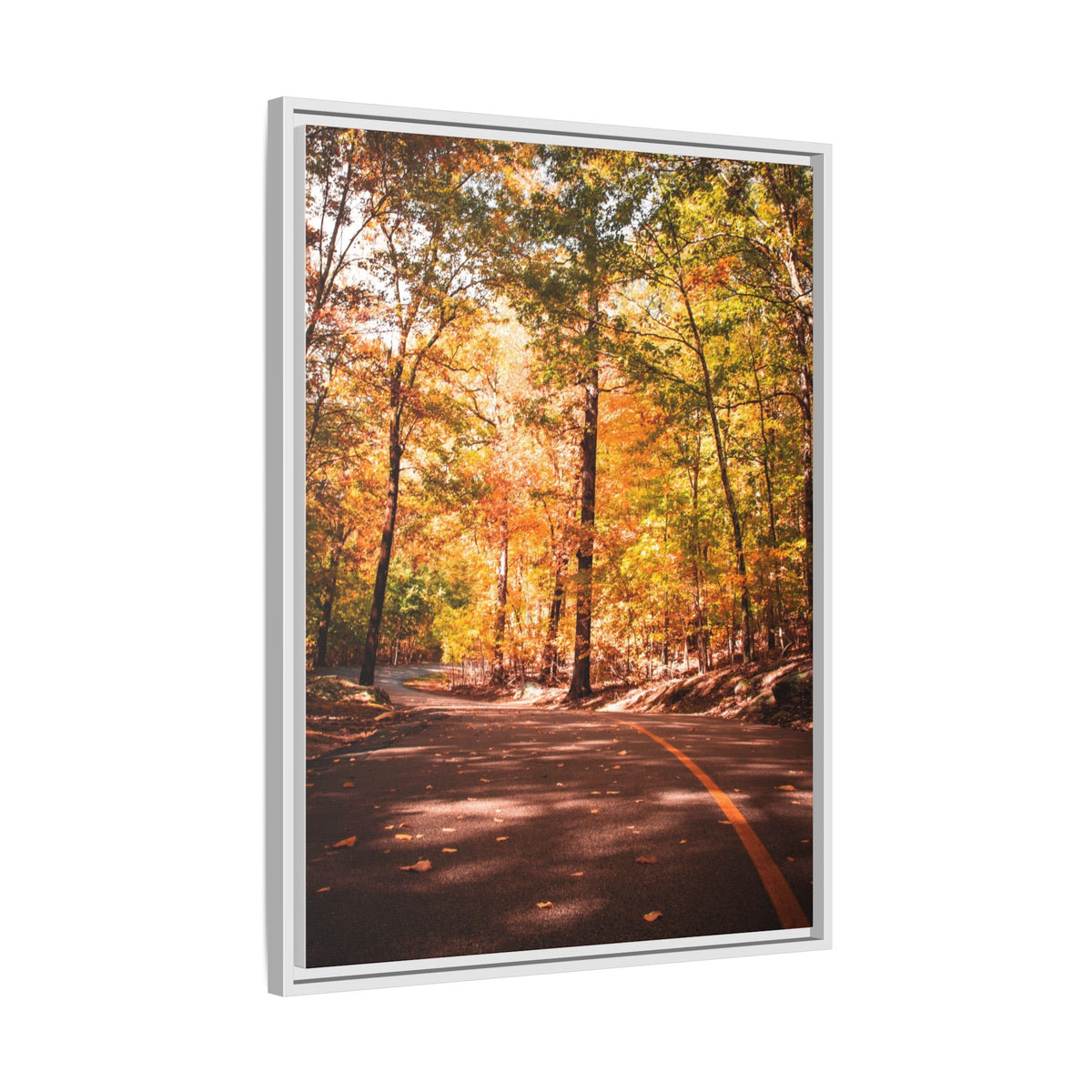 Autumn Road- Canvas Print