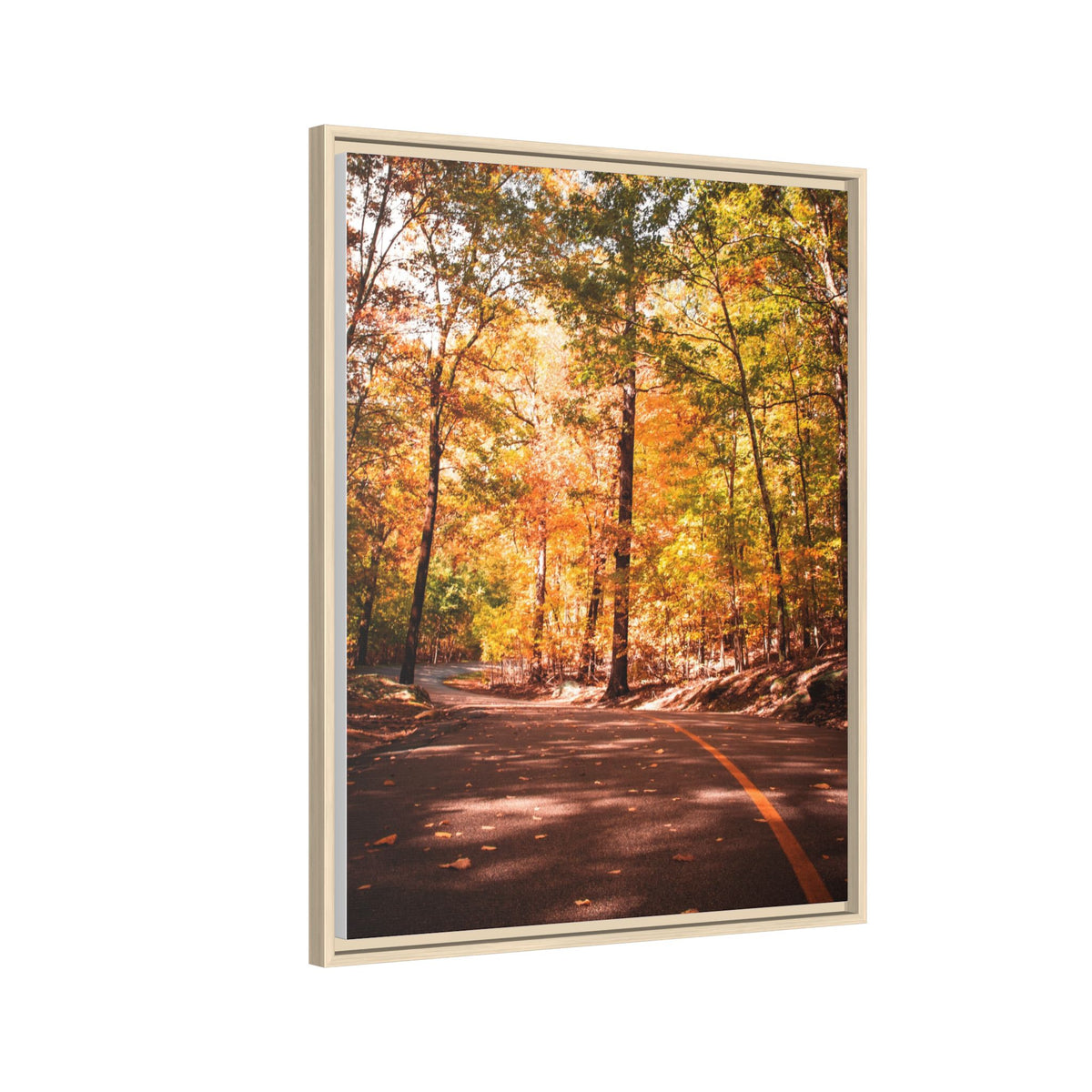 Autumn Road- Canvas Print