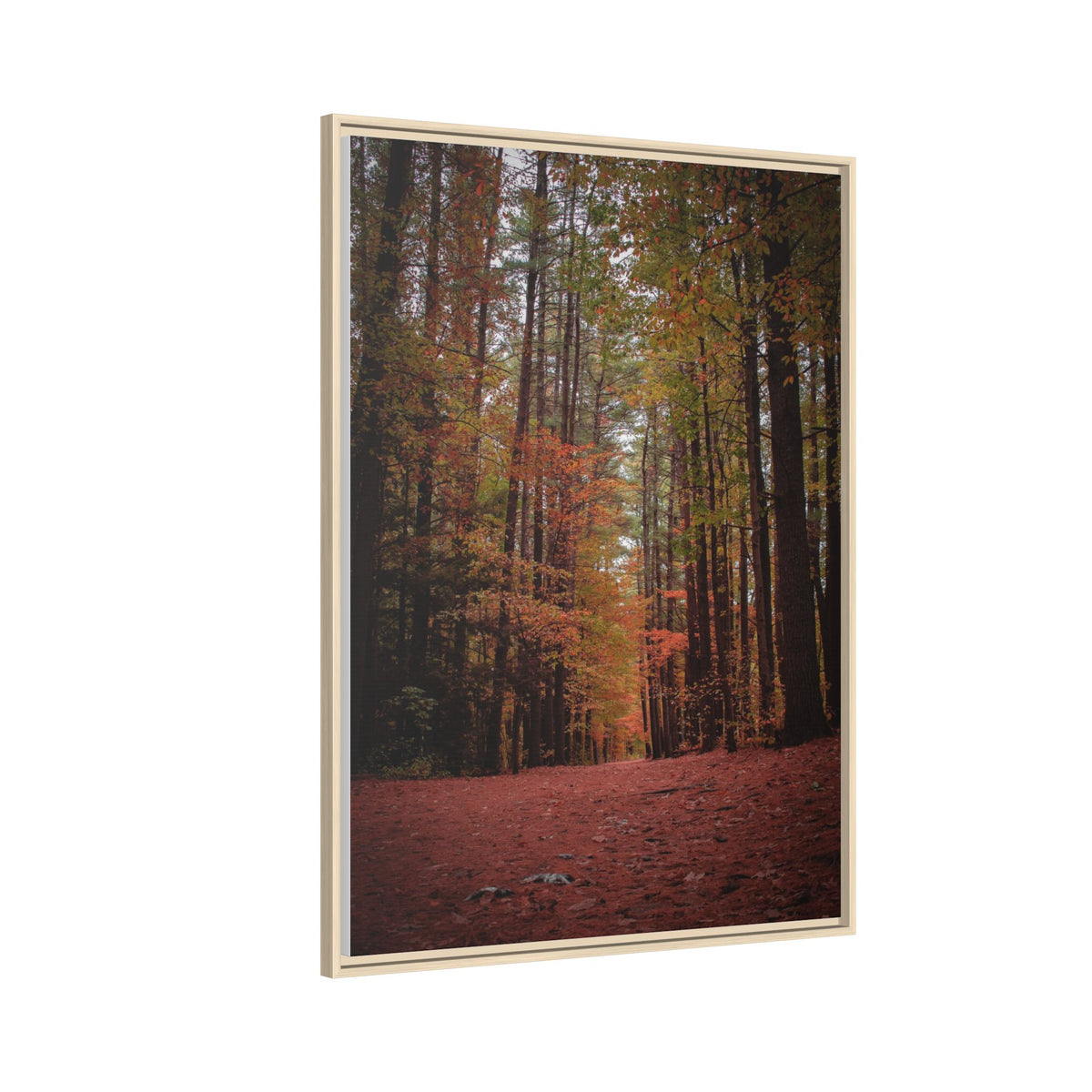 Autumn Forest Wall Art