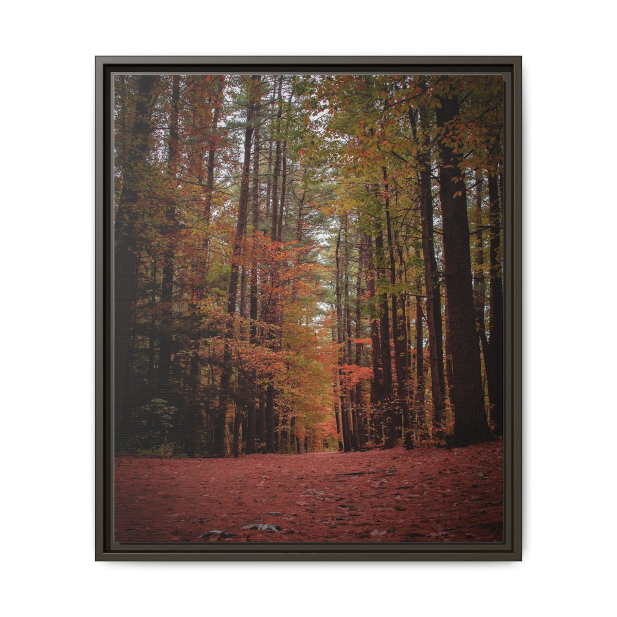 Autumn Forest Wall Art