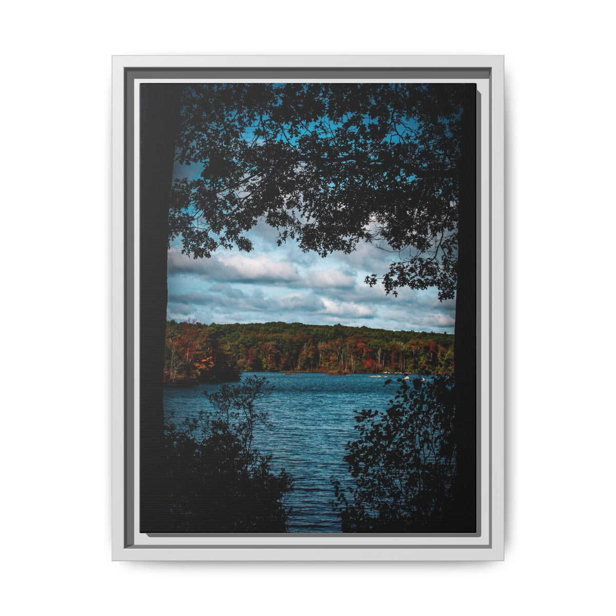 Tree Covered Peace - Canvas Print