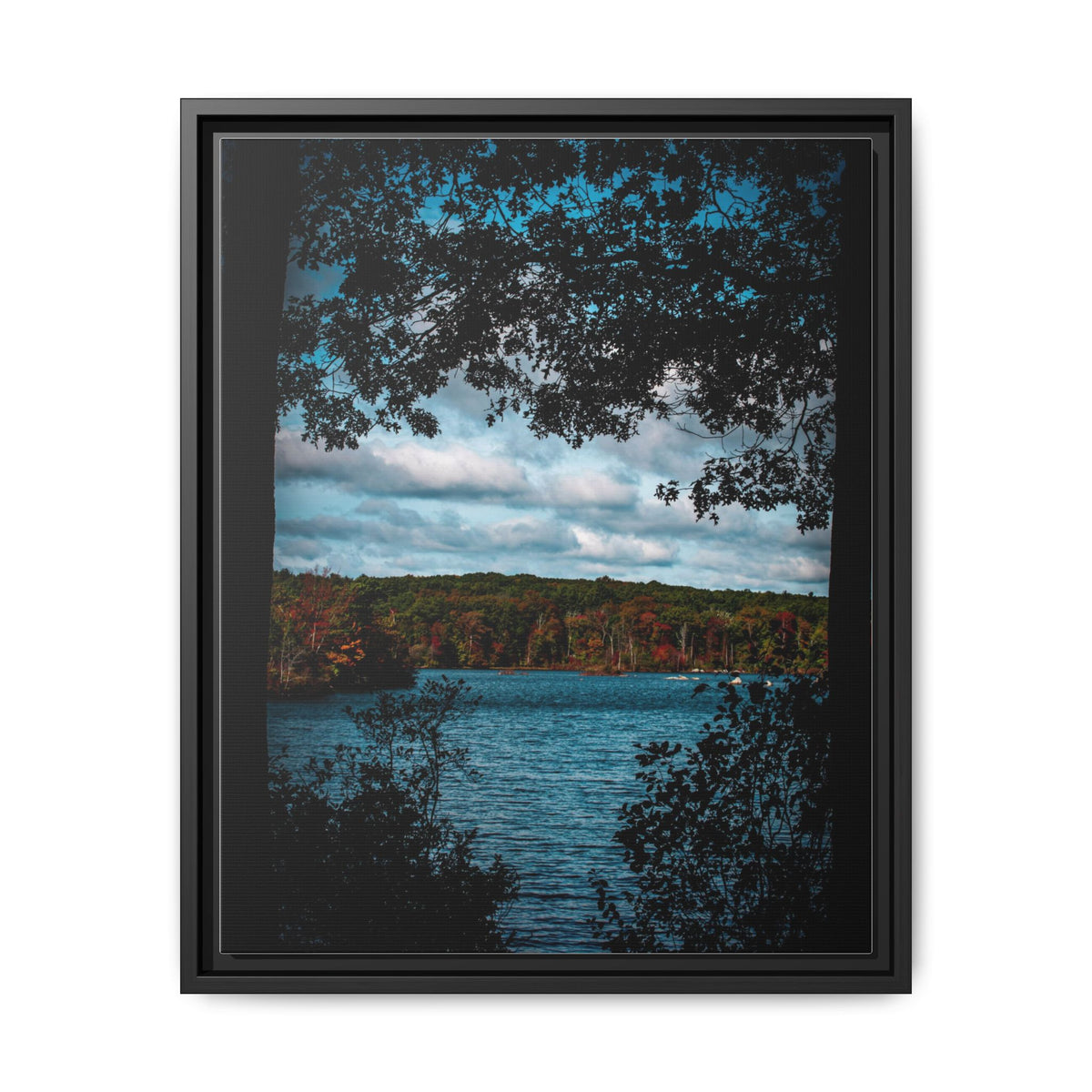 Tree Covered Peace - Canvas Print