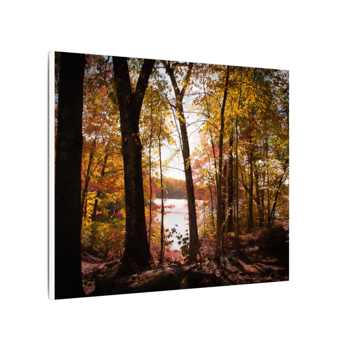 Autumn Lakeview Wall Art