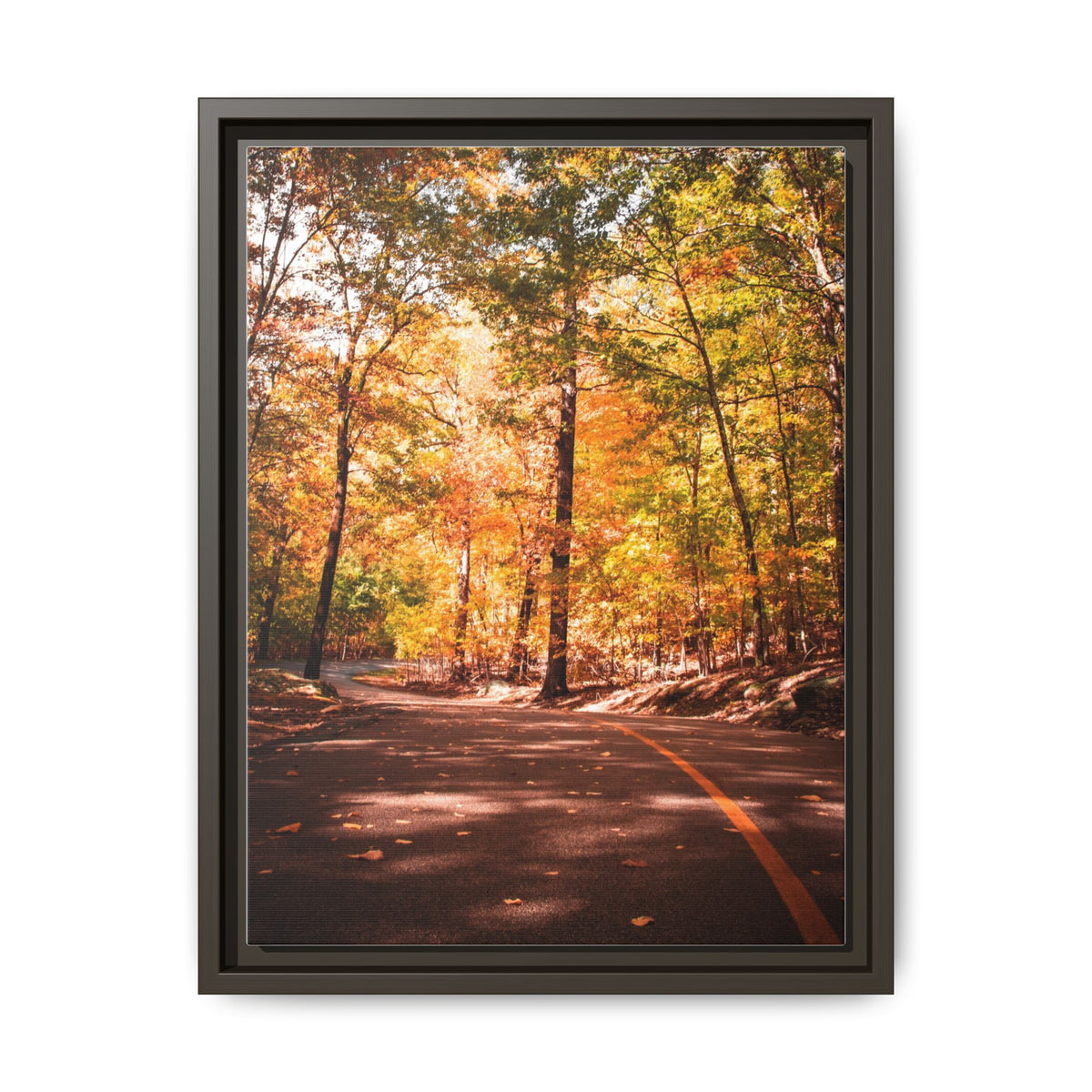 Autumn Road- Canvas Print