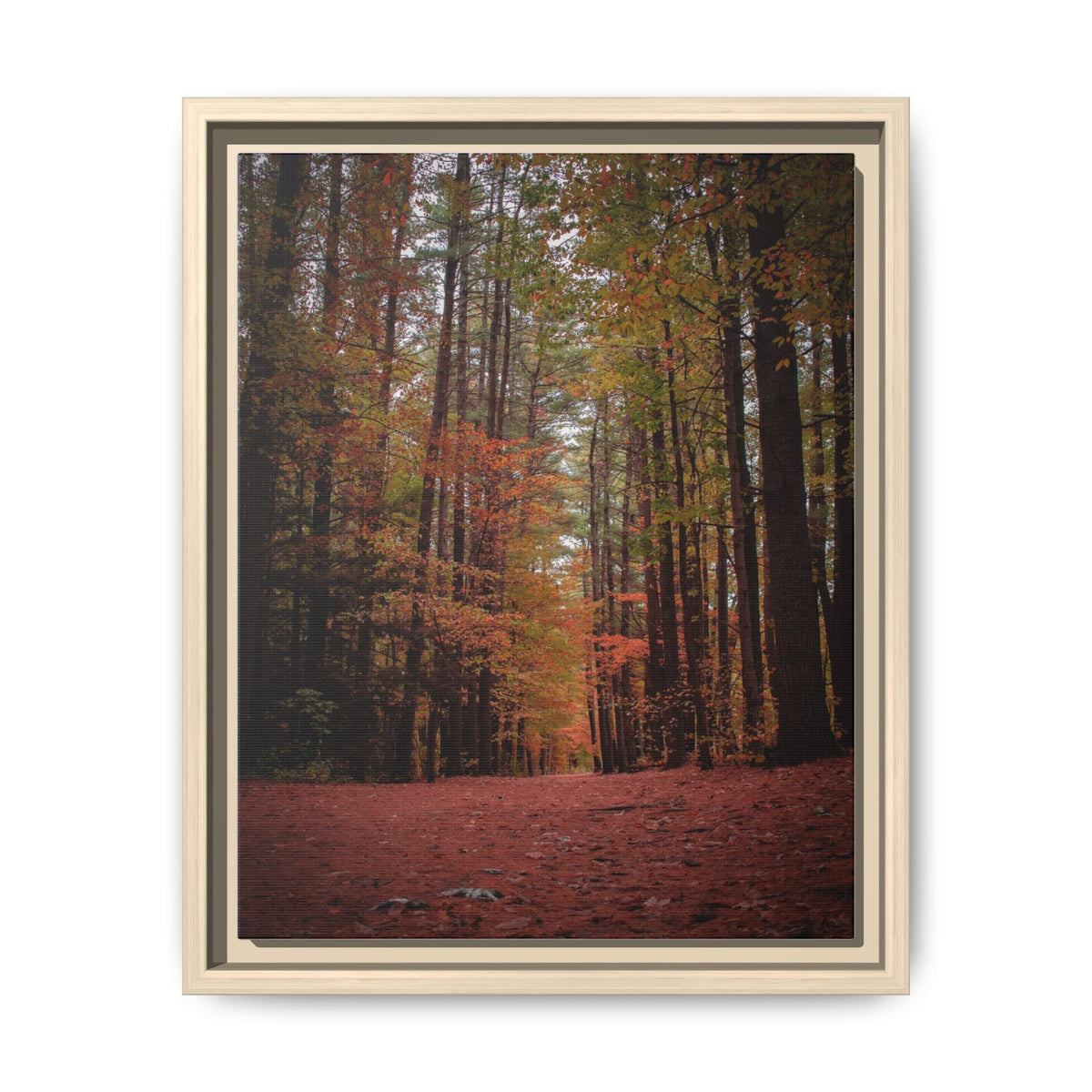 Autumn Forest Wall Art