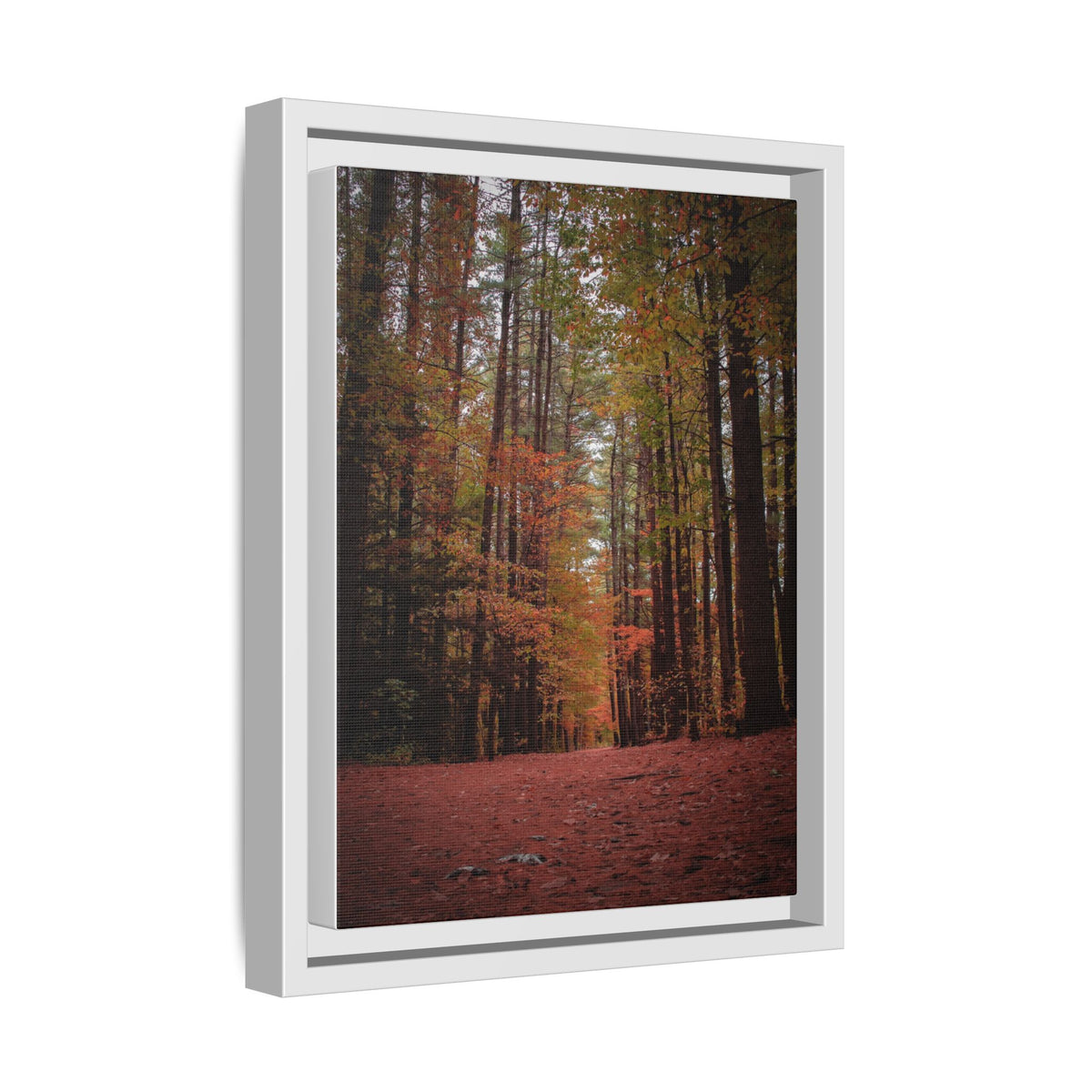 Autumn Forest Wall Art