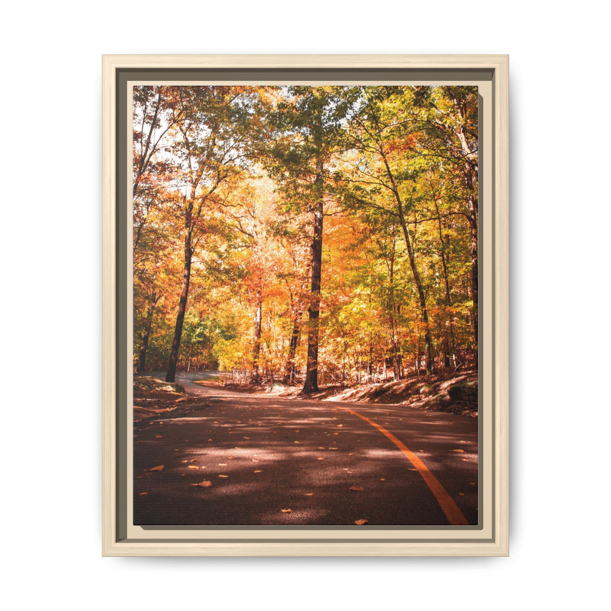 Autumn Road- Canvas Print