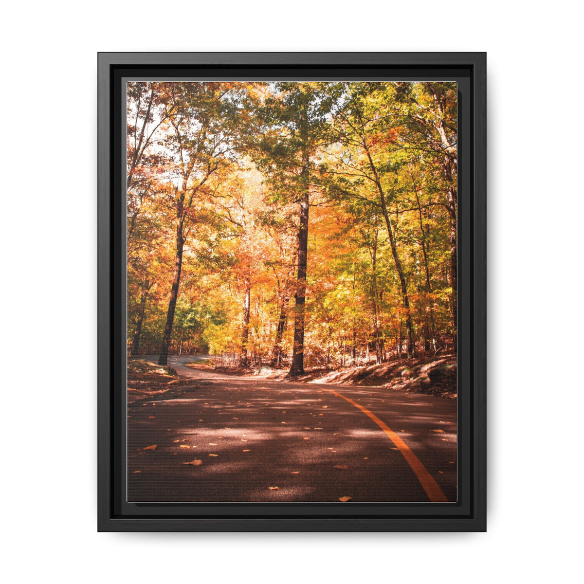 Autumn Road- Canvas Print