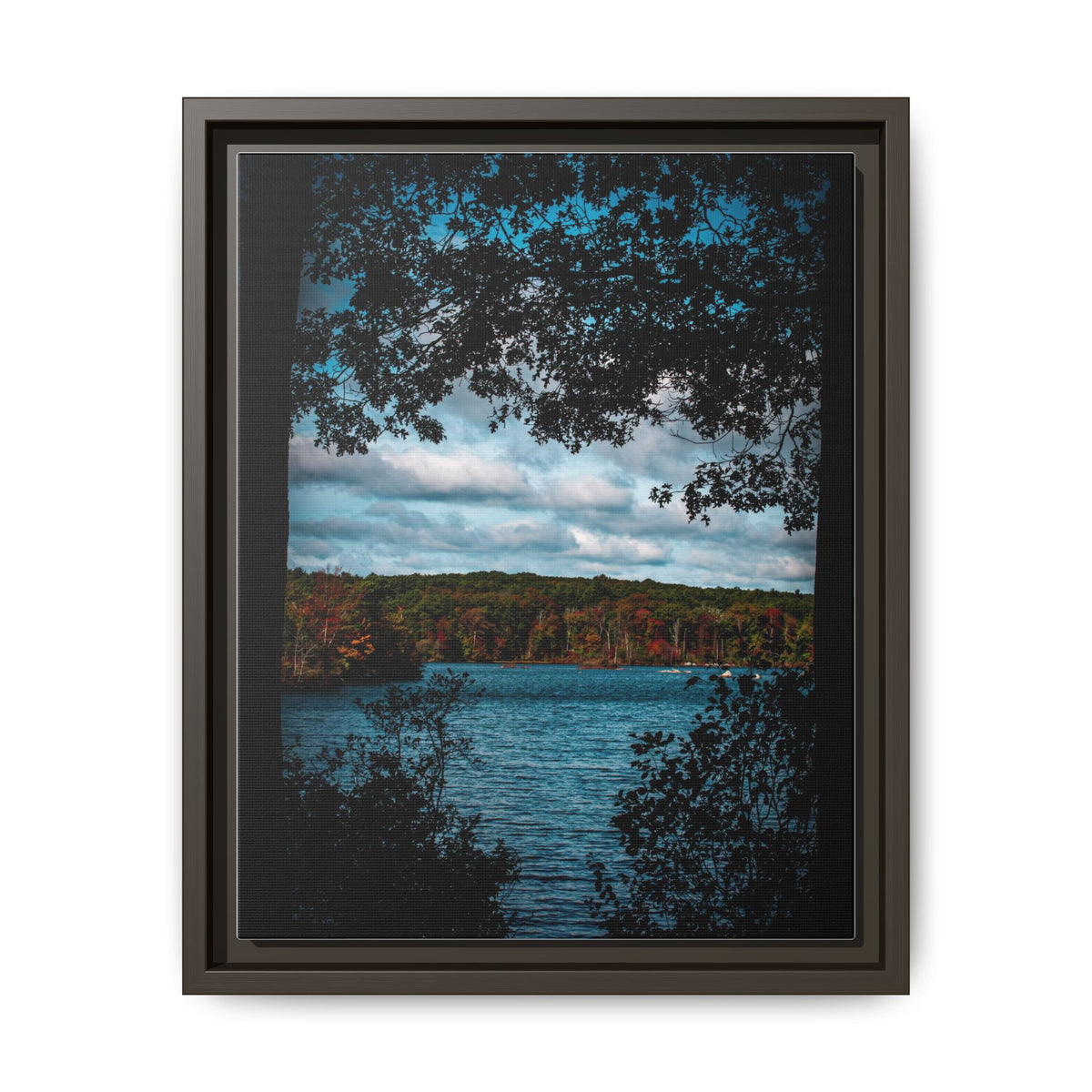 Tree Covered Peace - Canvas Print