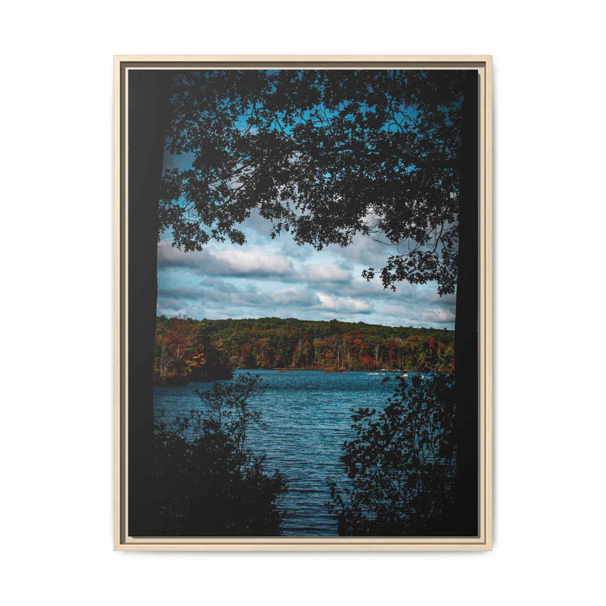 Tree Covered Peace - Canvas Print
