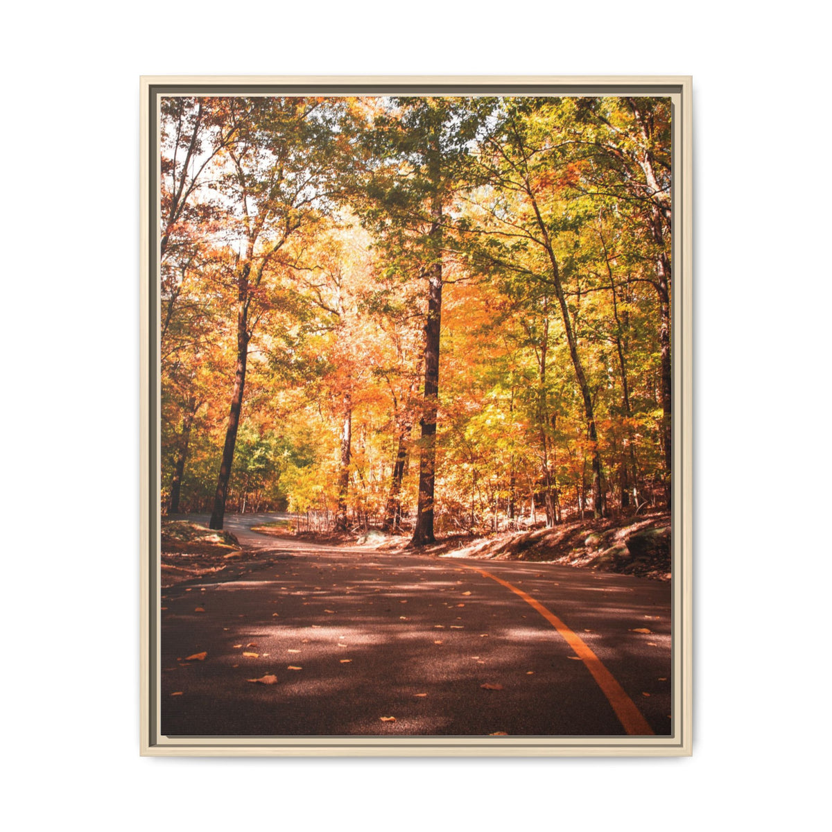 Autumn Road- Canvas Print