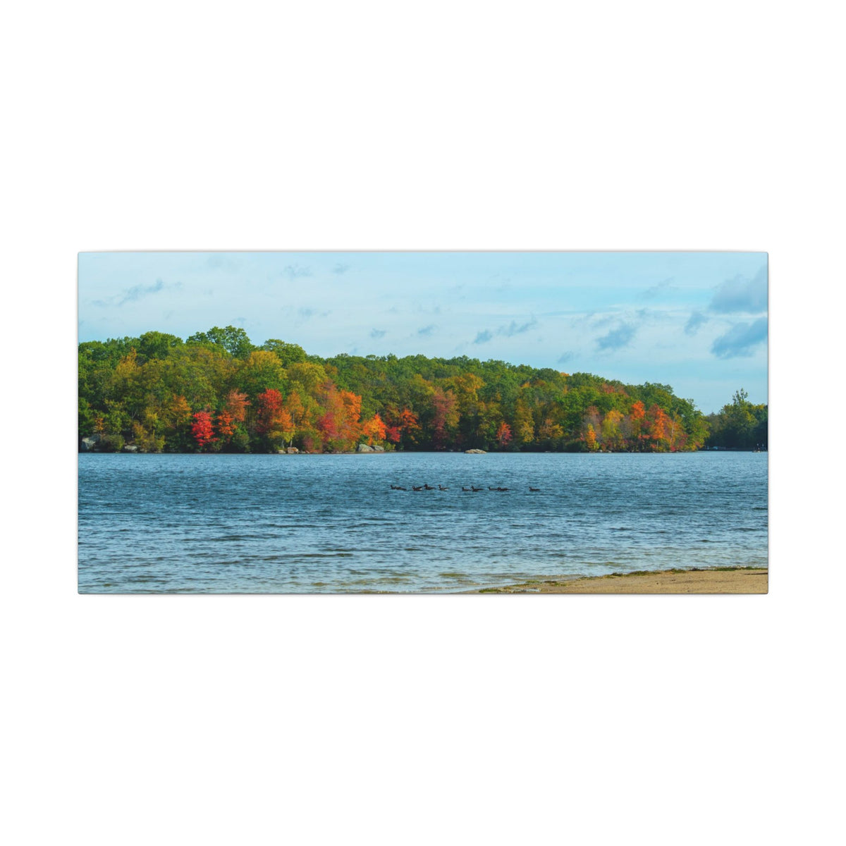 Fall on the Beach — Fall Landscape Matte Wall Art