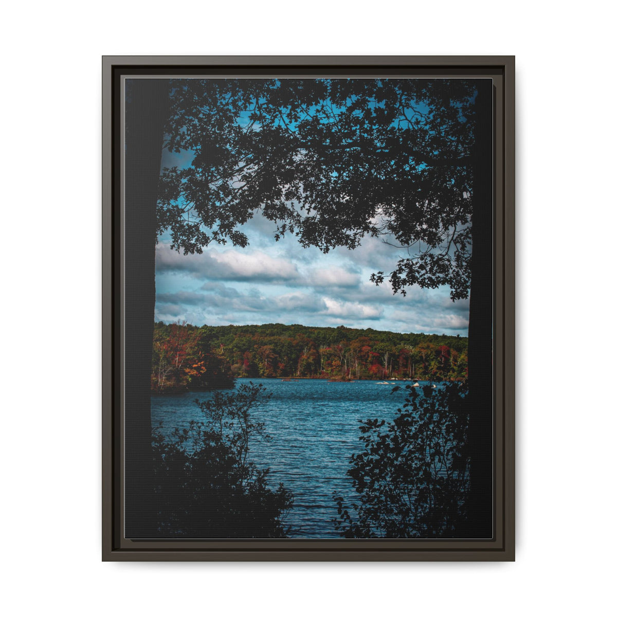 Tree Covered Peace - Canvas Print