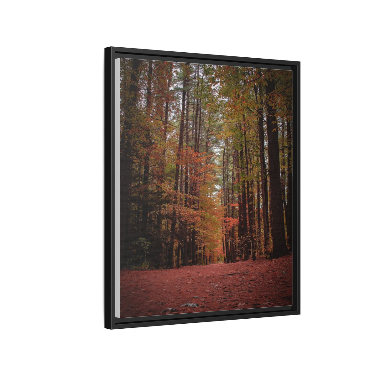 Autumn Forest Wall Art