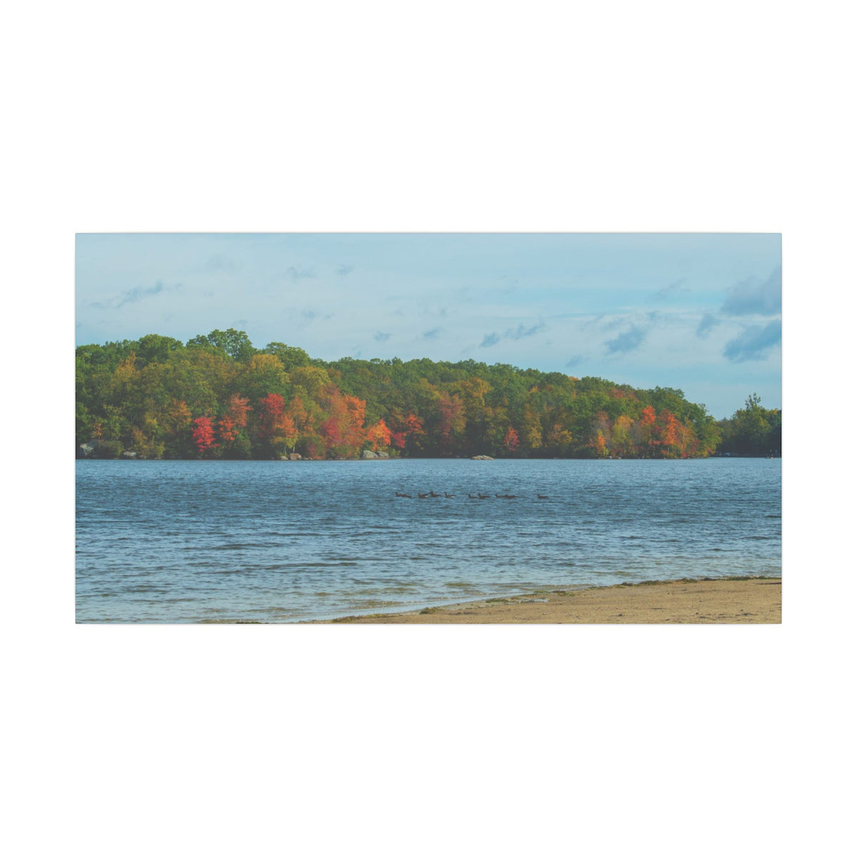 Fall on the Beach — Fall Landscape Matte Wall Art