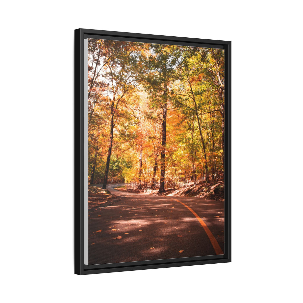 Autumn Road- Canvas Print