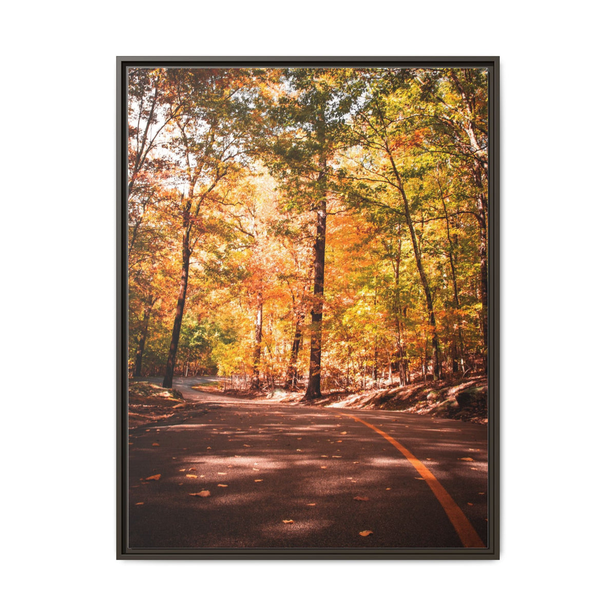 Autumn Road- Canvas Print