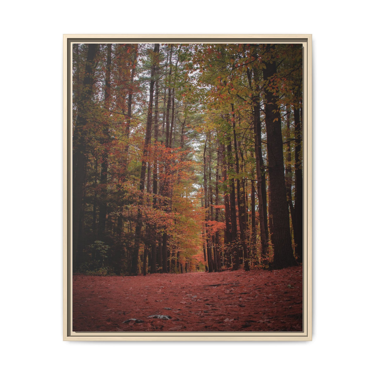 Autumn Forest Wall Art