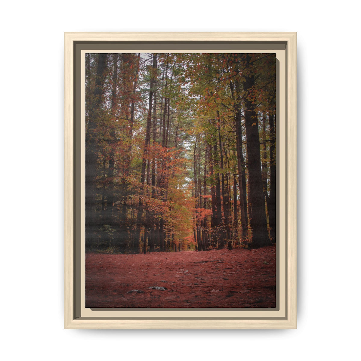 Autumn Forest Wall Art