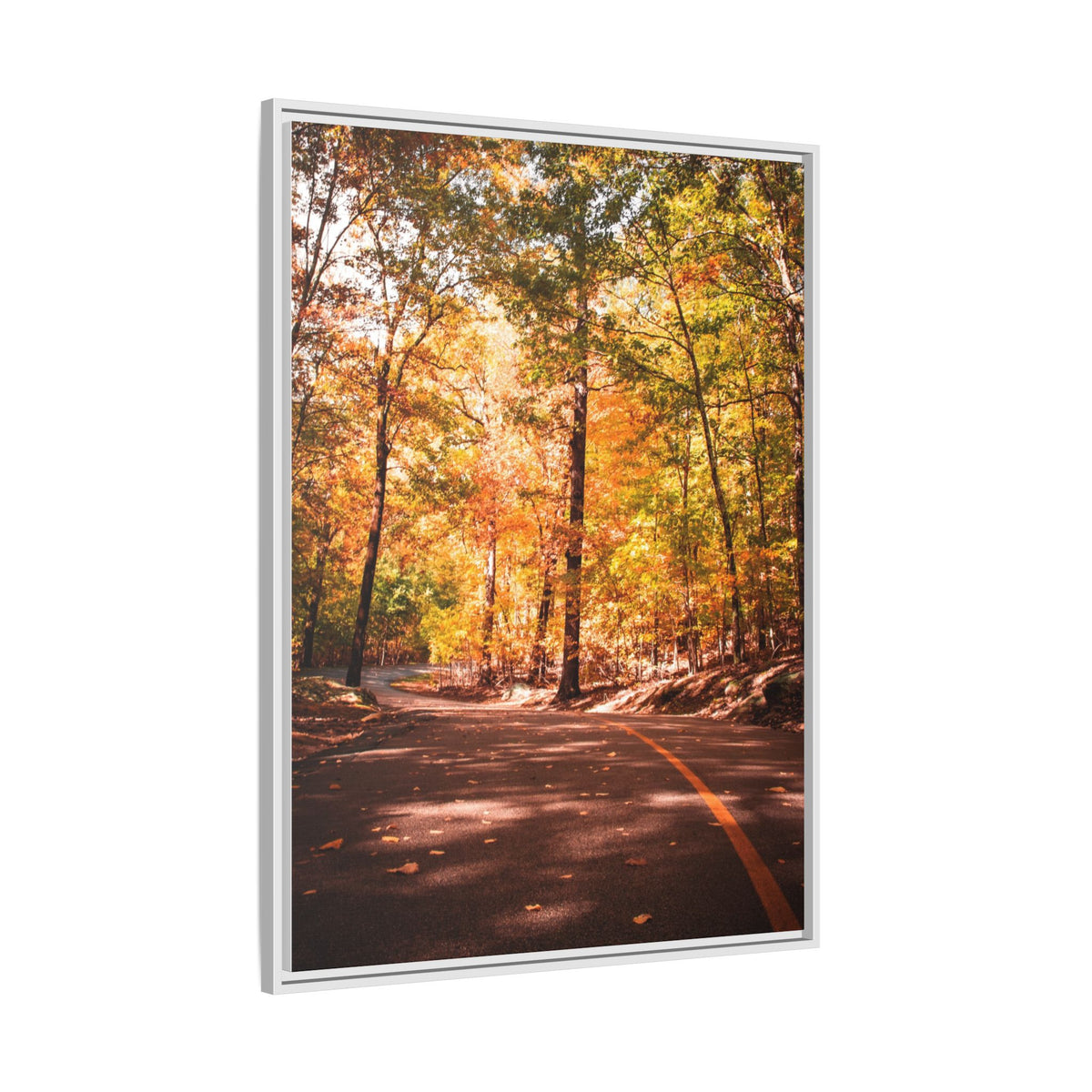 Autumn Road- Canvas Print