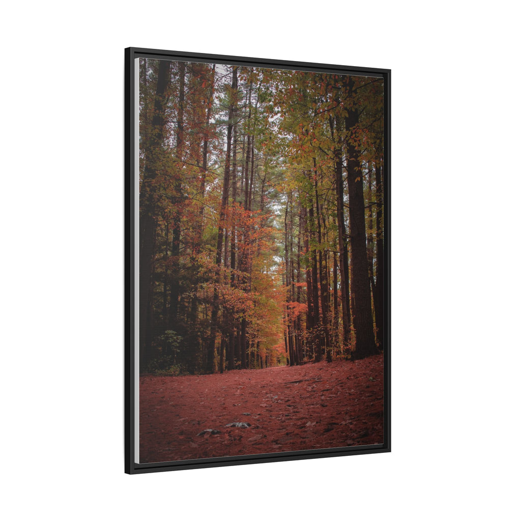 Autumn Forest Wall Art