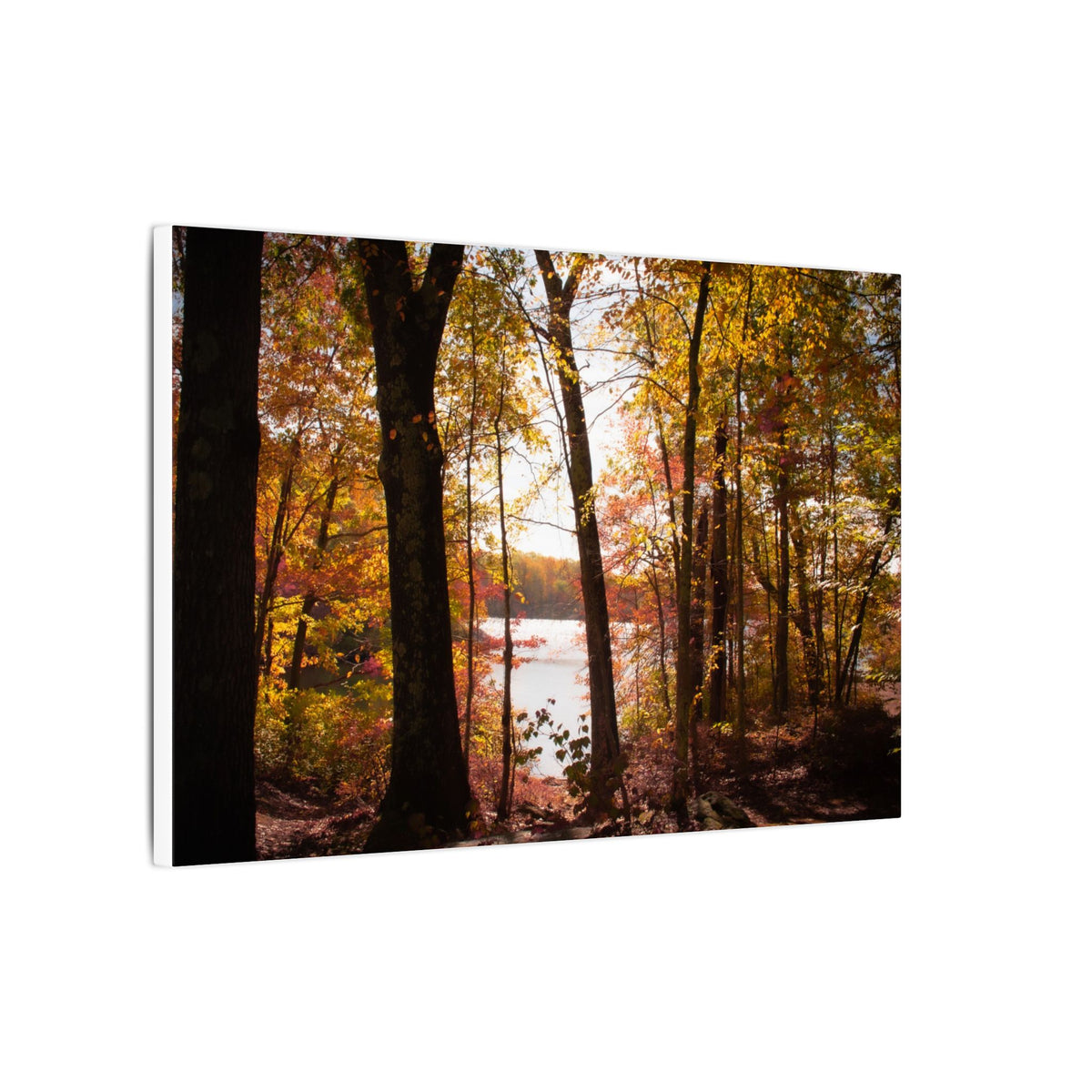 Autumn Lakeview Wall Art