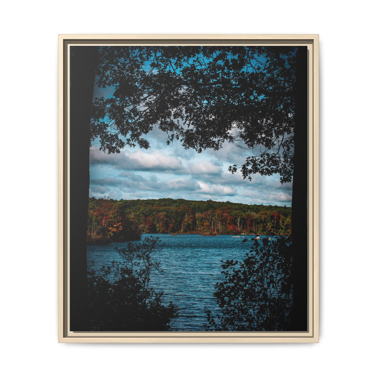 Tree Covered Peace - Canvas Print