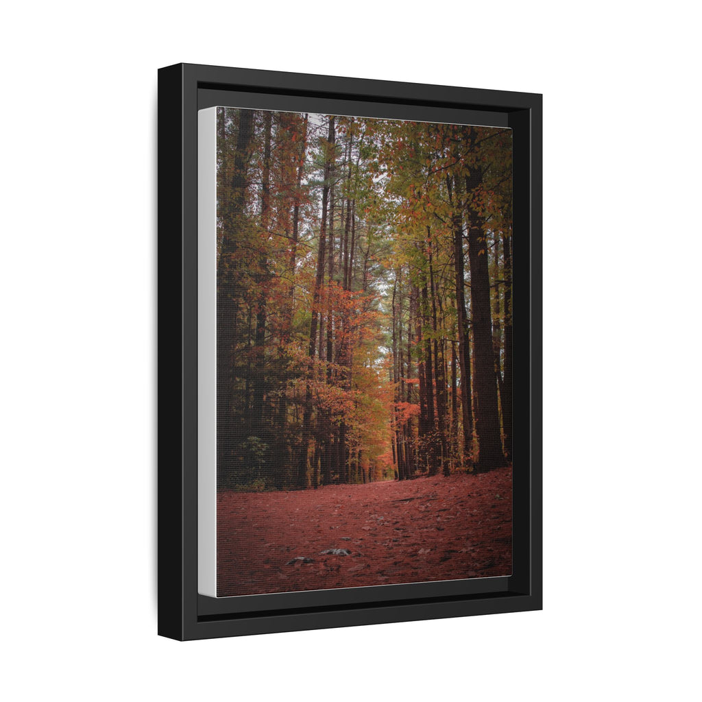 Autumn Forest Wall Art