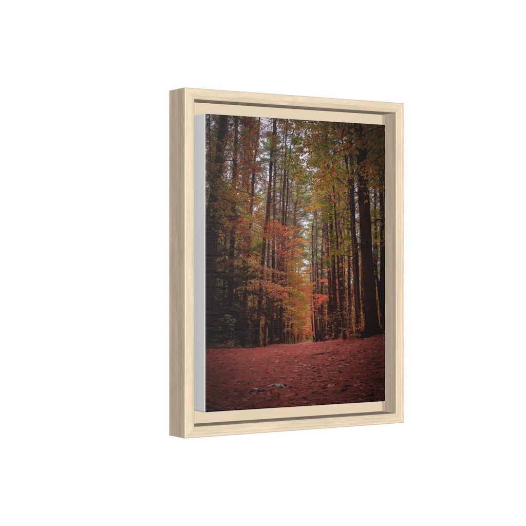 Autumn Forest Wall Art