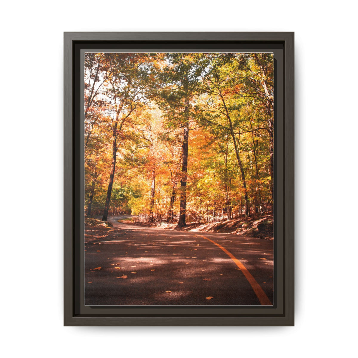 Autumn Road- Canvas Print