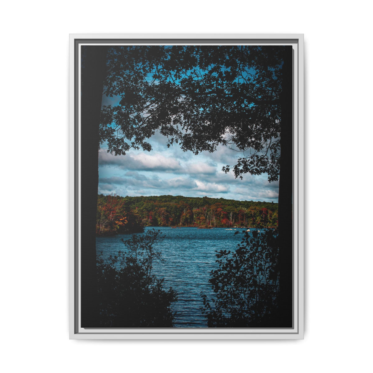 Tree Covered Peace - Canvas Print