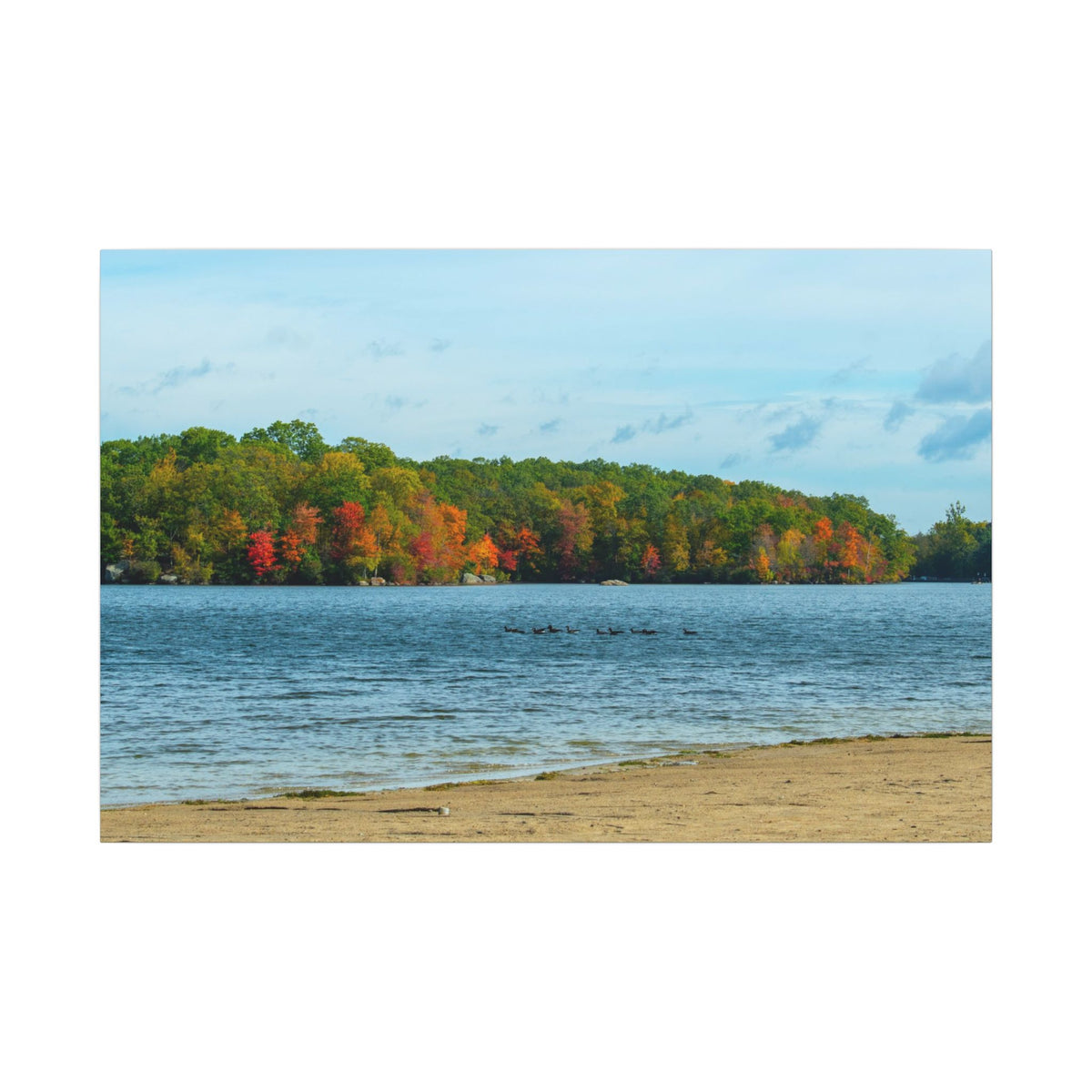 Fall on the Beach — Fall Landscape Matte Wall Art