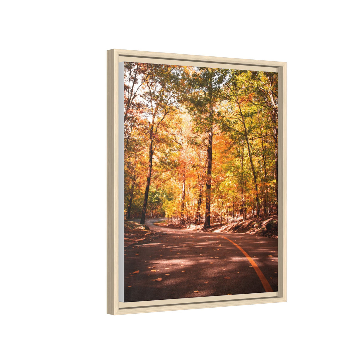 Autumn Road- Canvas Print