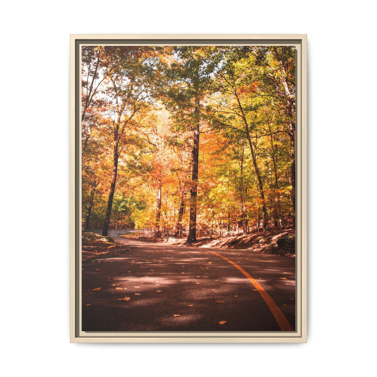 Autumn Road- Canvas Print