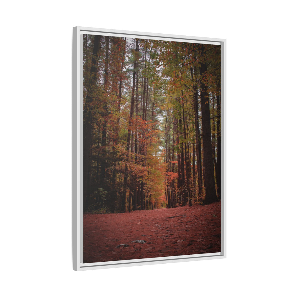 Autumn Forest Wall Art