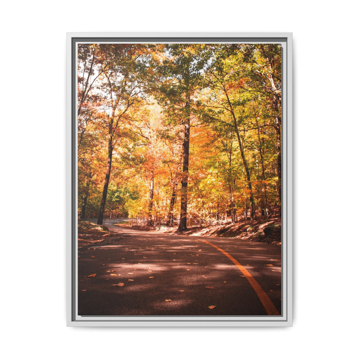 Autumn Road- Canvas Print