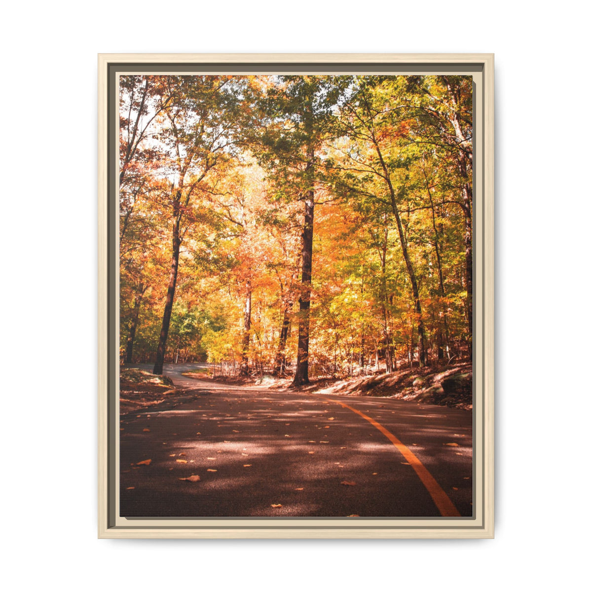 Autumn Road- Canvas Print