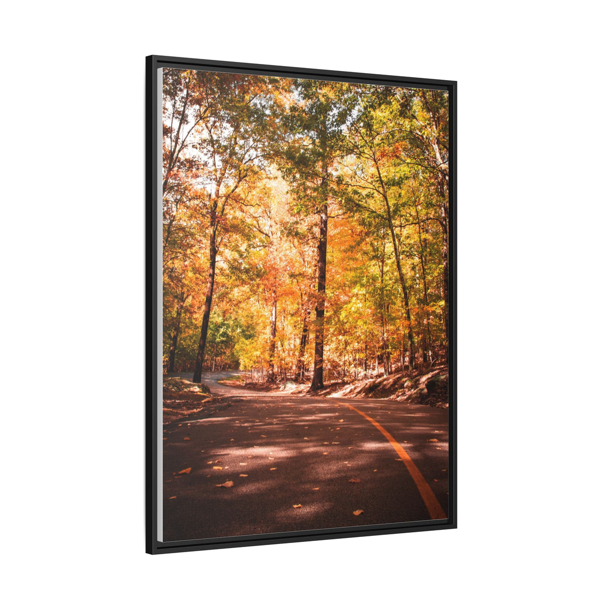 Autumn Road- Canvas Print