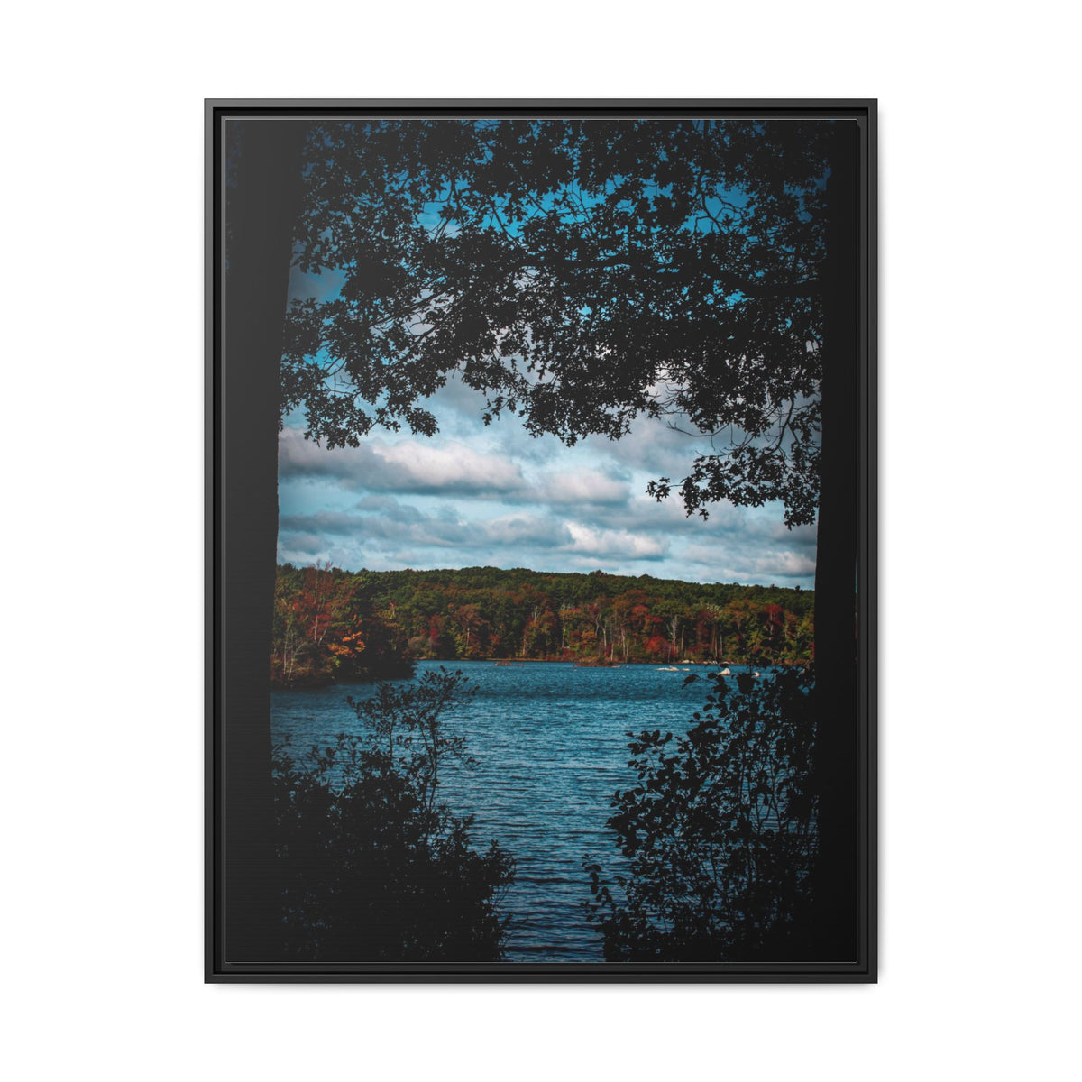 Tree Covered Peace - Canvas Print